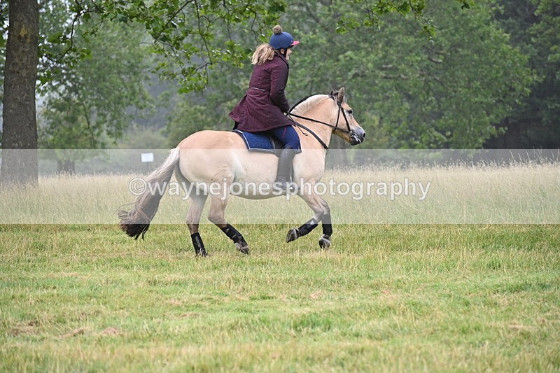 WJ6_0761 - Time at Kitchen Jump 11:34 to 12:28