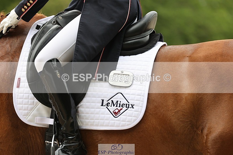 240523-150327-03014 - 233-SILVESTERS_FINESSE-Rosalind_Canter