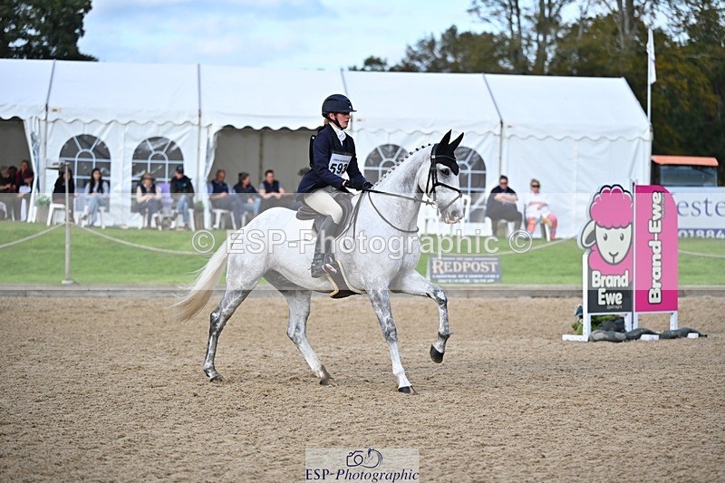 241027-144717-18033 - 593-Abbie.Burbidge-BLUEBIRD