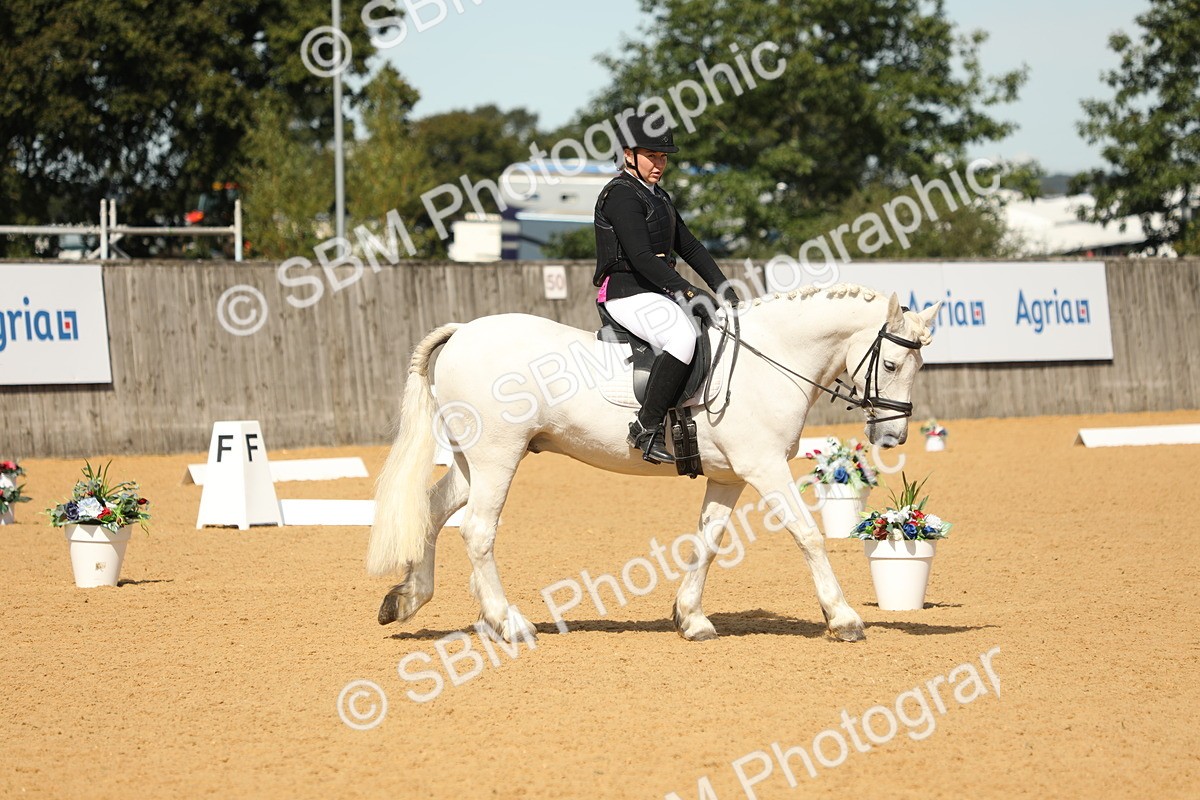 SBM_19845 - D10 - Small Tour Championship - Prelim 2