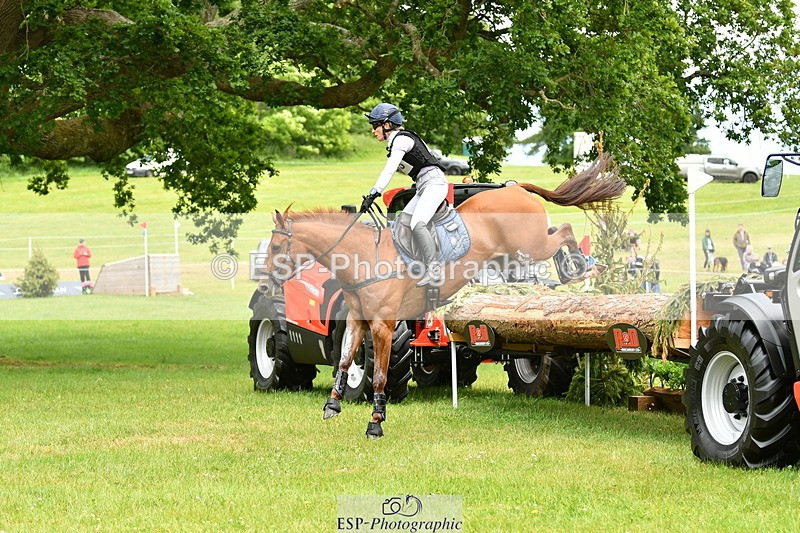 250525A-125129-16726 - D-453-Daisy.Berkeley-DIESE.DU.FIGUIER