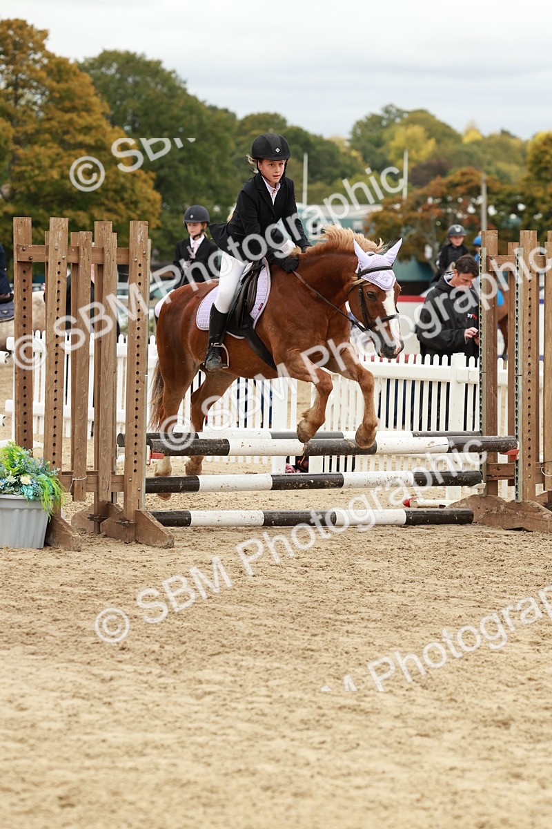 SBM_67051 - J13 - Junior Pony 60cm Championship