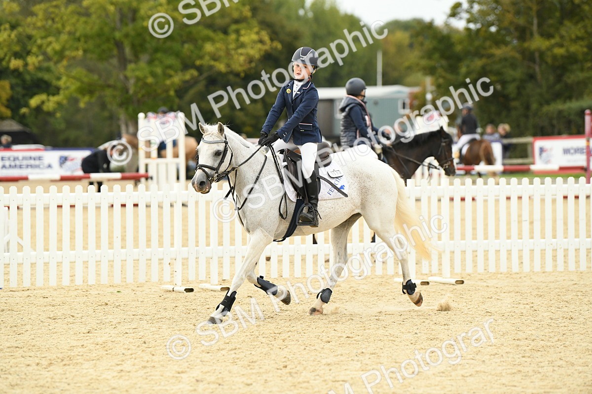 SBM_73306 - J16 - Junior Pony 75cm Championship