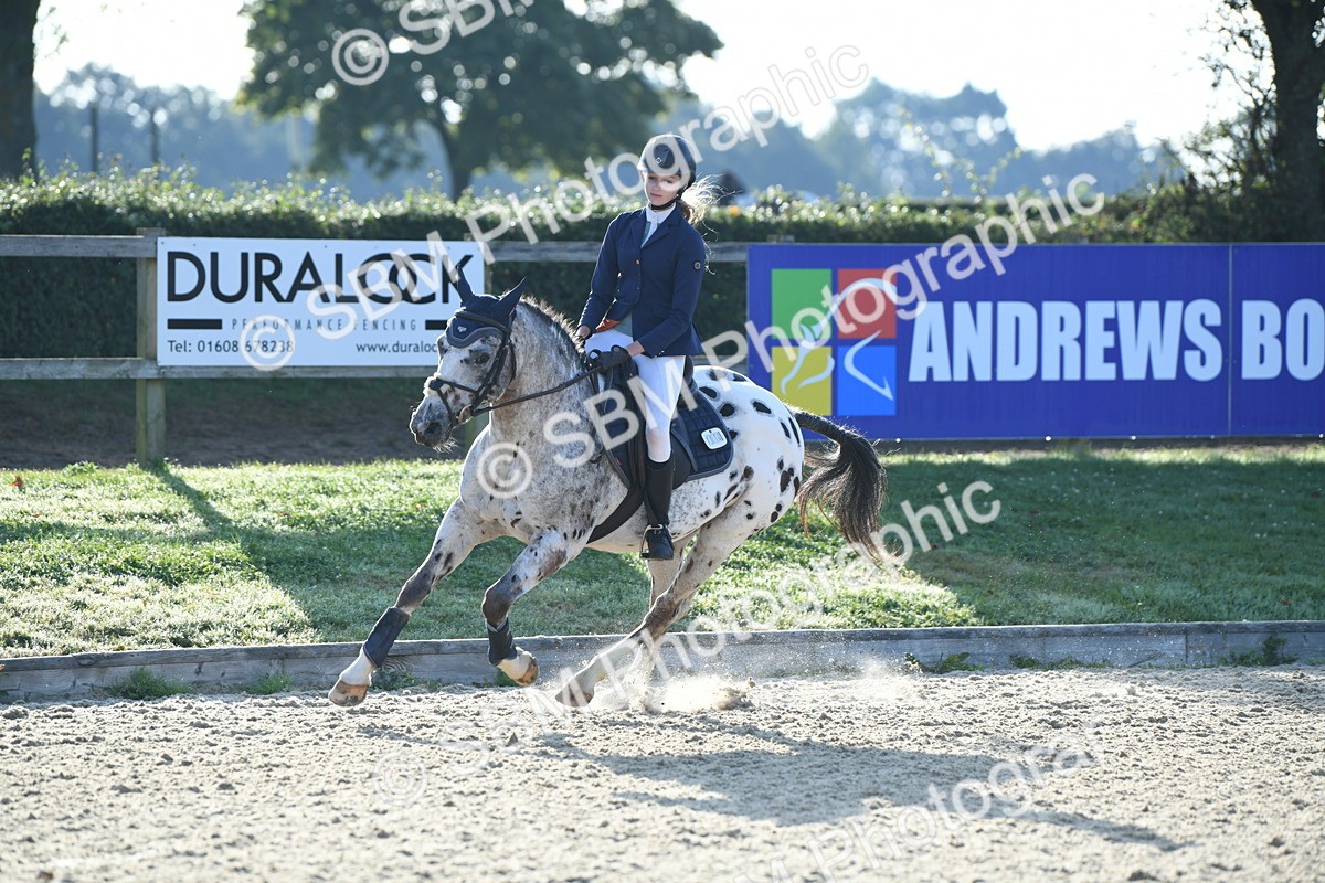 SBM_58339 - J24 - Junior Horse 75cm Championship