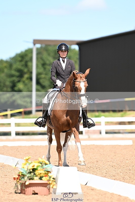 240816A-132058-05031 - 113-Ruby.Gumbley-Nova's.Golden.Dream