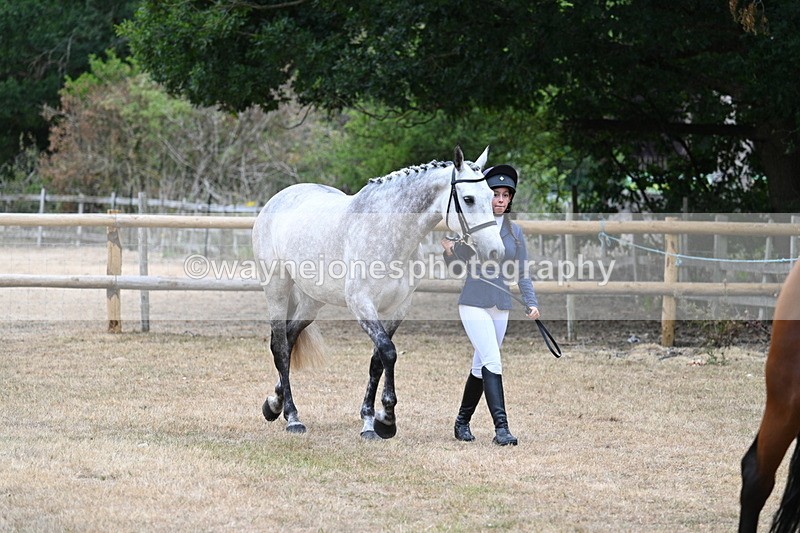 WJ7_8634 - Class 4a Prettiest Mare 14.2hh and over
