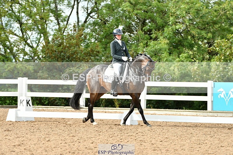 230912A-162013-01747 - Cls 14 Adv Medium 98