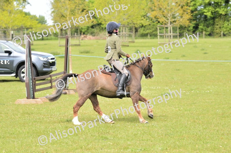 20260426-2460 - Class 21 - Working Hunter Ponies