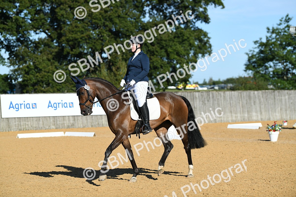 SBM_16153 - D4 - Small Tour Championship - Intro B