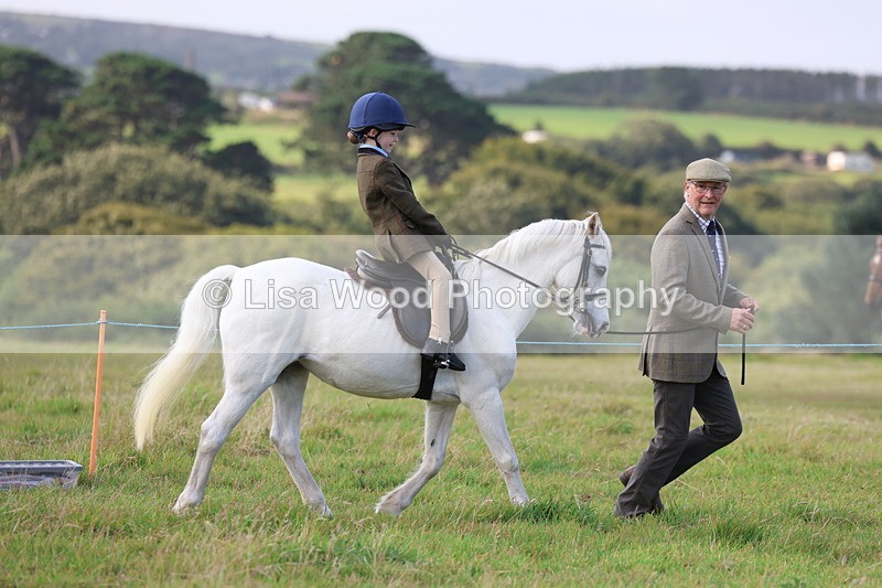 3E7A3472 - Class 2: Lead rein