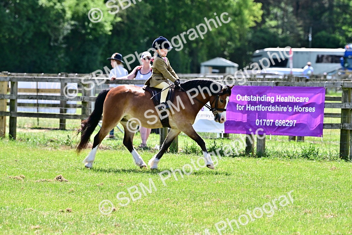 SBM_06018 - Class 59-60 - TSR M&M  Lear Rein and First Ridden Amateur of the year