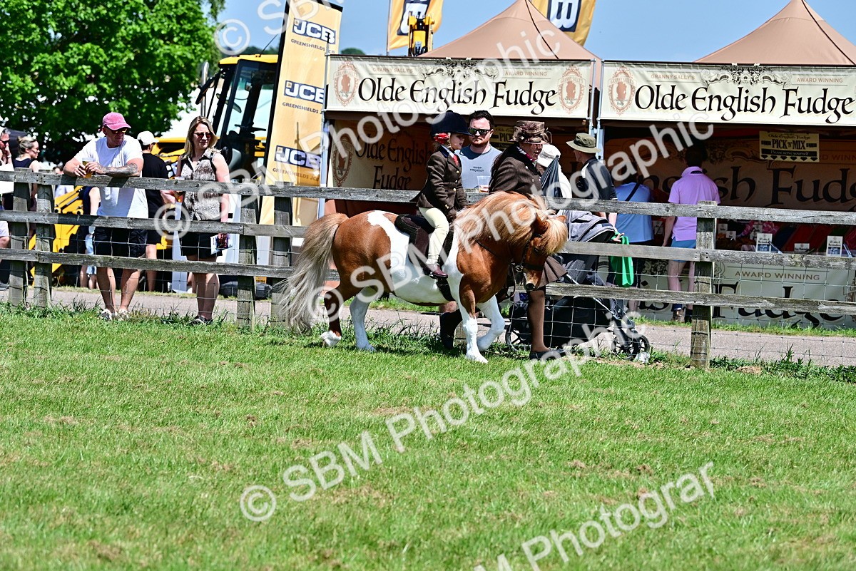 SBM_05810 - Class 59-60 - TSR M&M  Lear Rein and First Ridden Amateur of the year