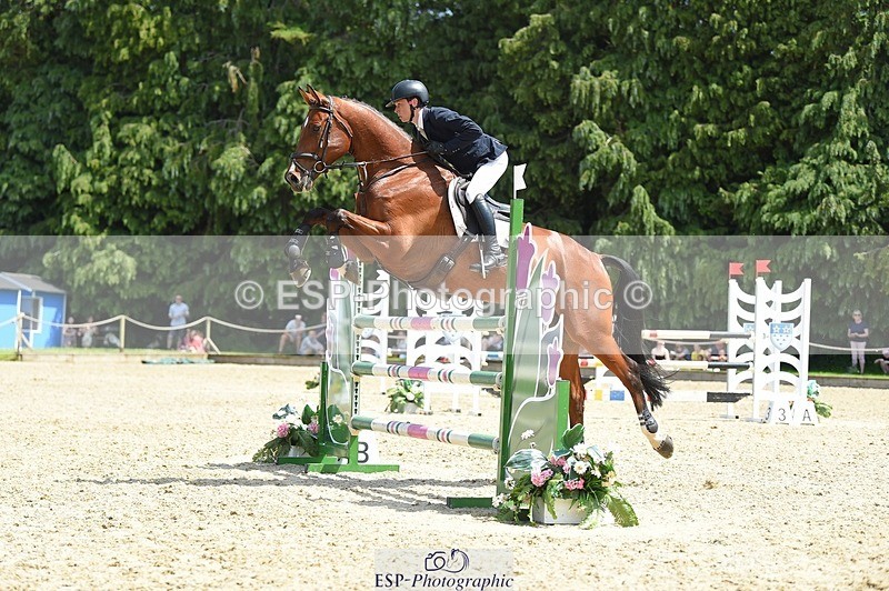 230528-121246-15586 - 318-JUST_HAVE_FAITH_TN-Alfie_Marshall-SUNTrotUp+SJ