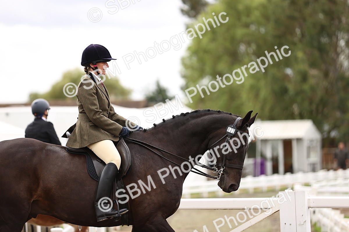 SBM_00520 - Class 53 - Ridden Competition Horse Pony
