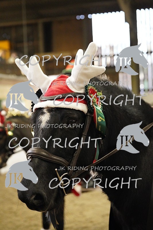 _DSC3231 - Class 4 50cm