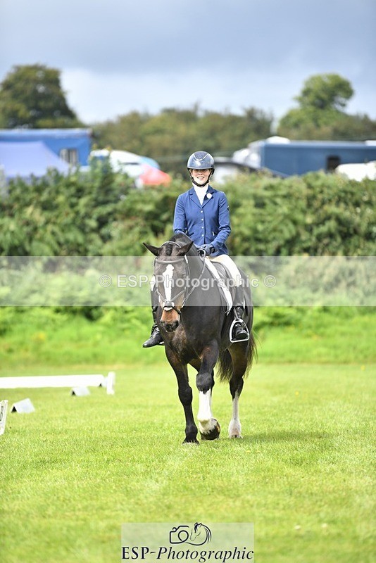 230826-111913-15819 - Sections C & D 10 to End