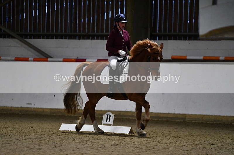 WJ5_8625 - Class 5 Novice Test 3