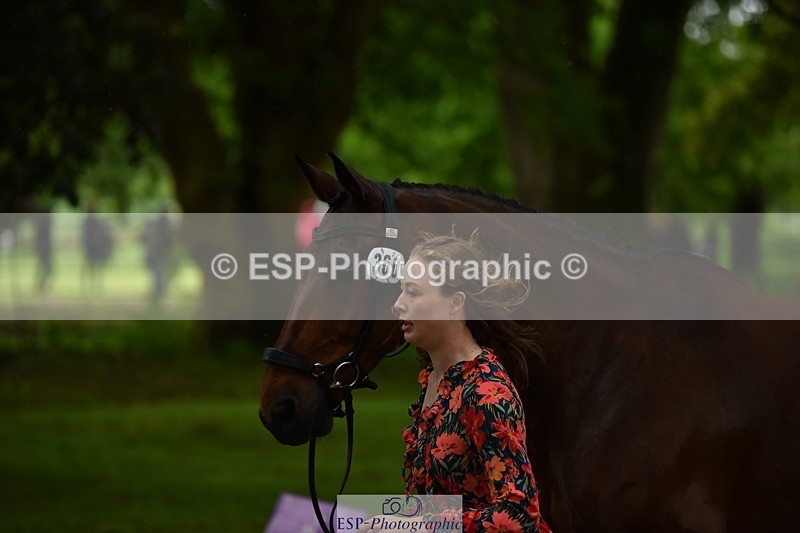 240522-152912-00372 - 360-JELSON-Lucy_Collecott