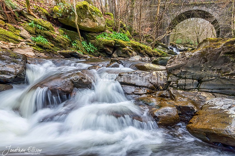 Moness Burn - Scotland