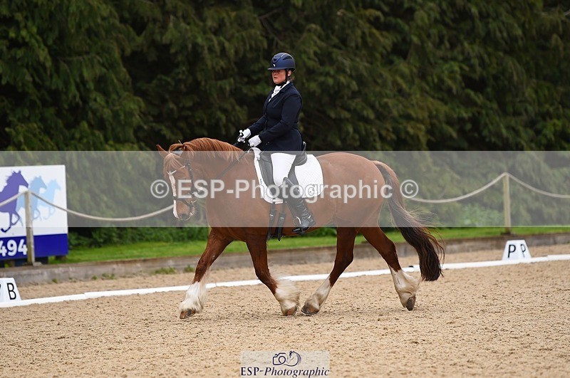 230426-111224-00408 - Cls 4 Novice 38Q Start to 11.30 break