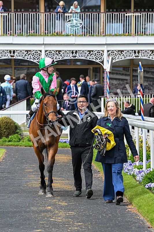 140526-Race 2-Jakajaro-4671 - Race 2 2.20pm Lindum York Handicap
