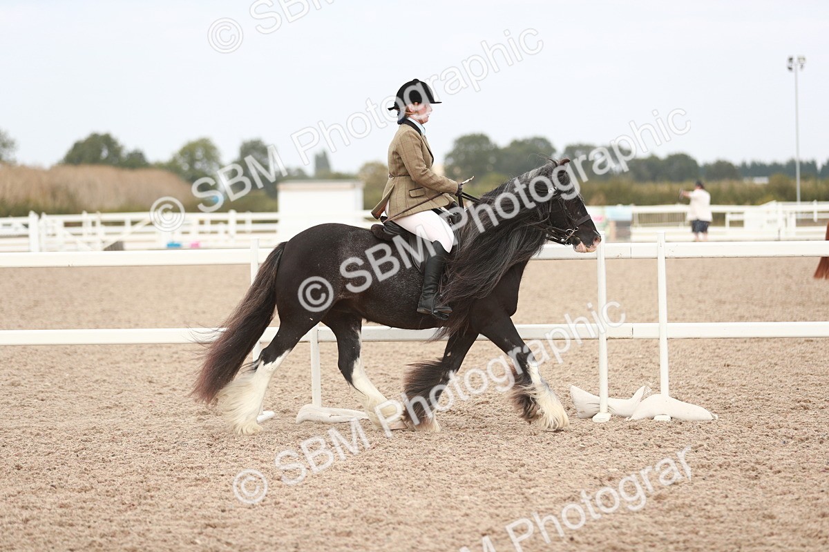 SBM_16638 - Class 214 Ridden Cob