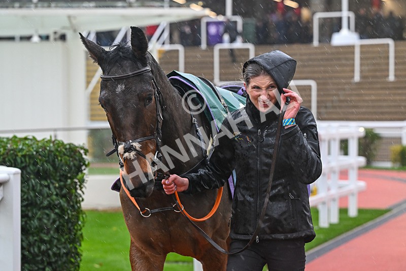 141125-Race 1-El Capitaine-8639 - Race 1