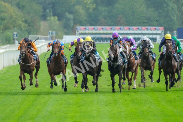 080925-Race 4-Zain Blue-8978 - Race 4 4.00pm Sky Bet Extra Places Middle Distance Handicap