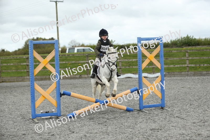20260412-0665 - Show Jumping