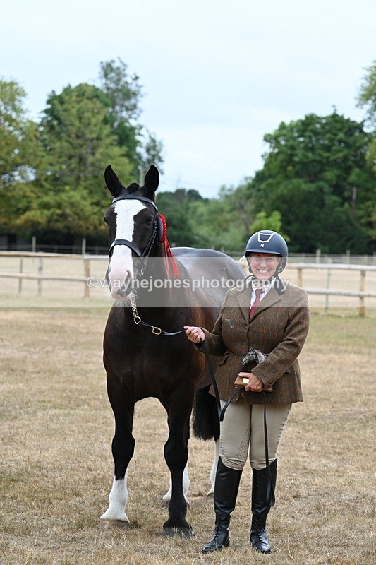 WJ7_0232 - Gelding Champs