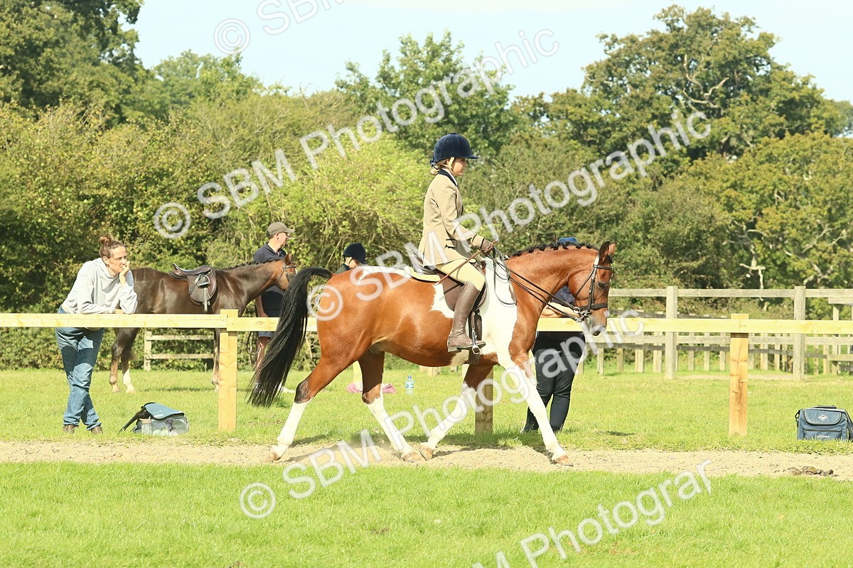 SBM_67401 - S56 - Coloured Pony Ridden