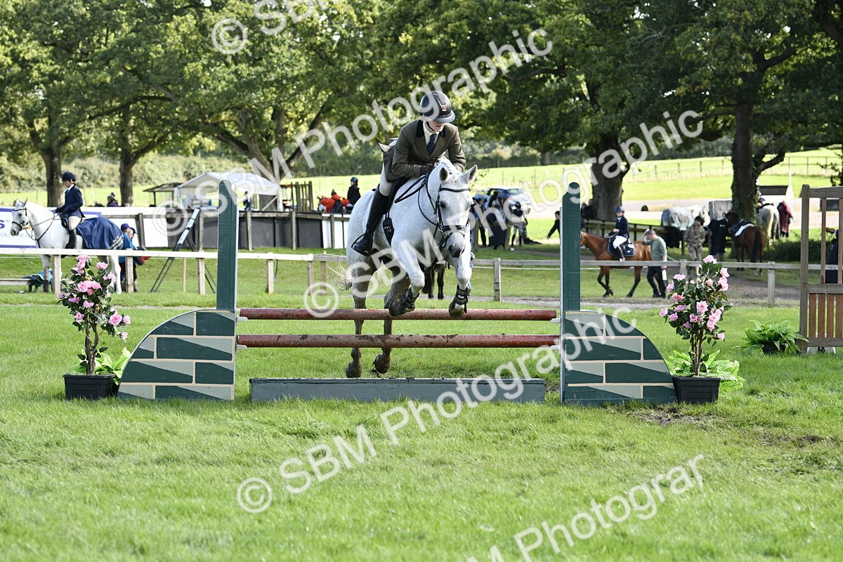 SBM_45744 - S33 - Working Hunter Pony