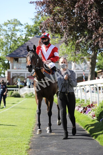  - Race 6 4.50pm The Ice Co supporting Macmillan Stakes