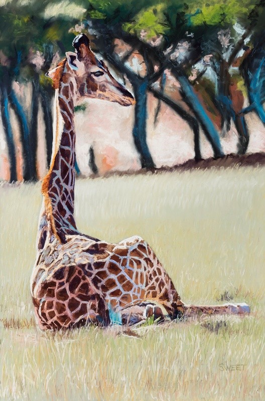 Twiga - Paintings