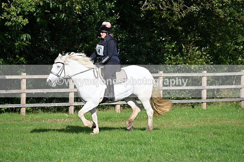 WJ7_3338 - 40cm Time 10:08 to 10:25