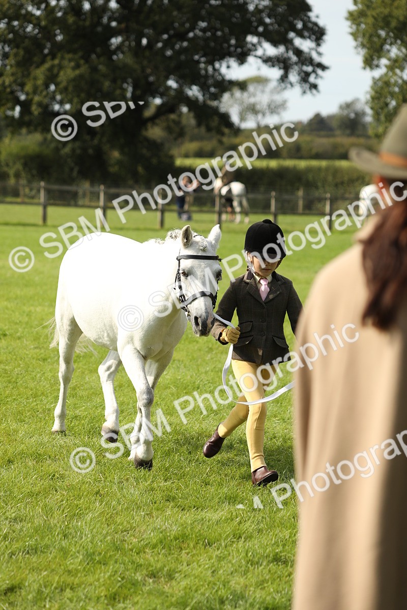 SBM_68660 - S40 - Junior Handler 9-12 Years