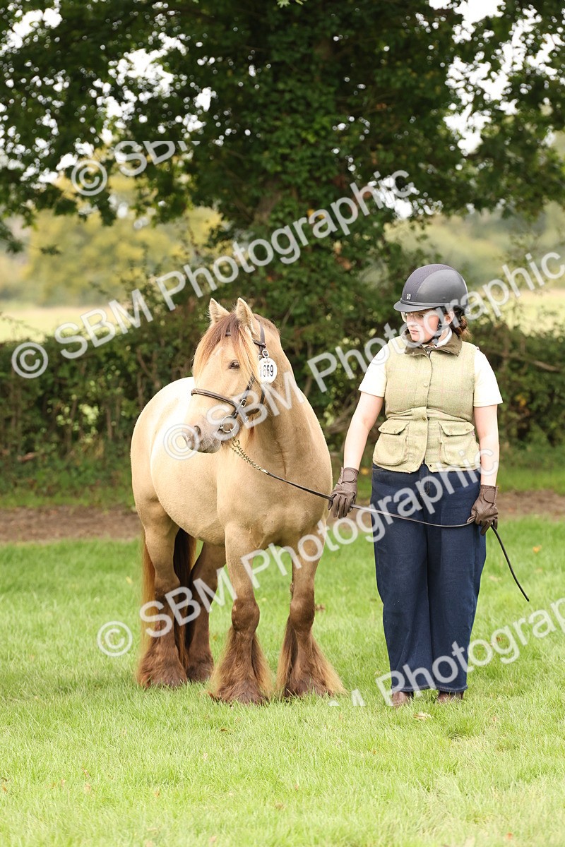 SBM_59349 - S57 - Traditional Cob In Hand