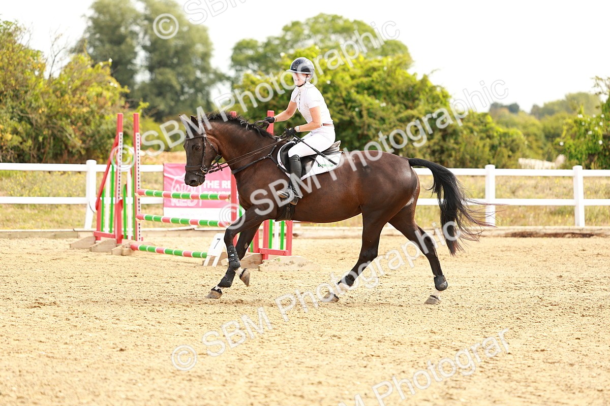SBM_002319 - Class 9 - Senior British Novice - 90cm