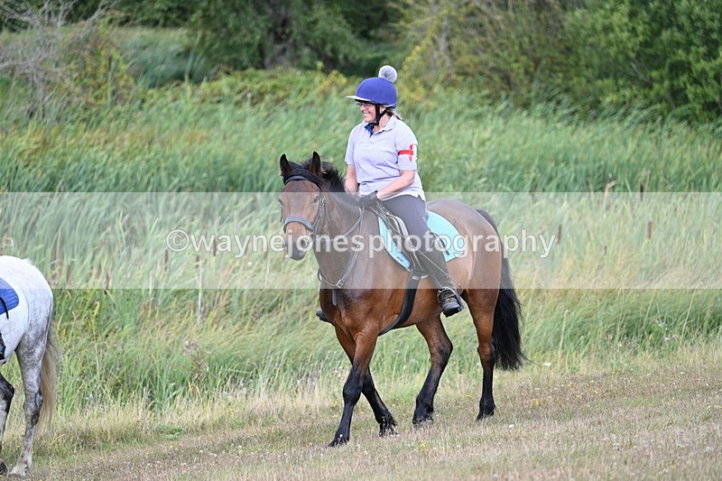 WJ7_4208 - Time 10:54 to 11:16