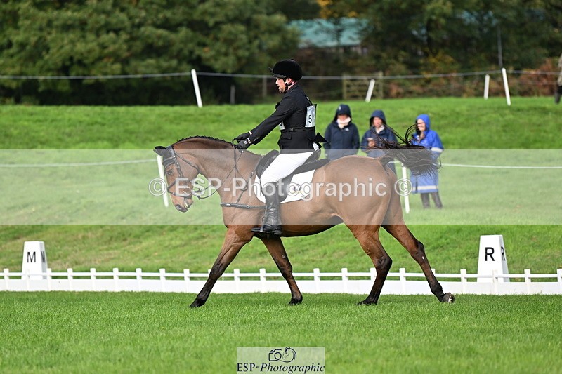 251023A-105409-02629 - G-510-Dan.Andrews