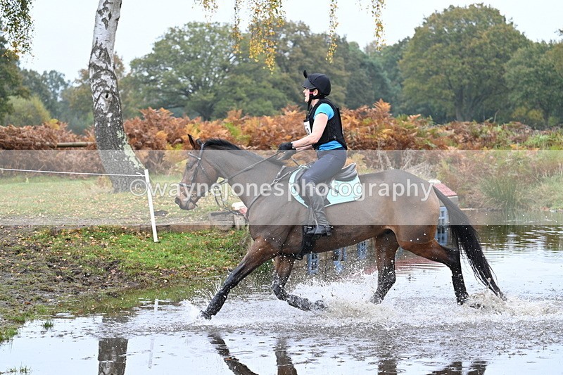 WJ7_0906 - 80cm Cam 2 Water Time 11:08 to 11:28