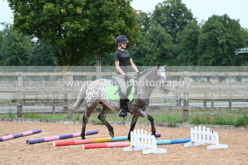 WJ7_9885 - Poles 14:00