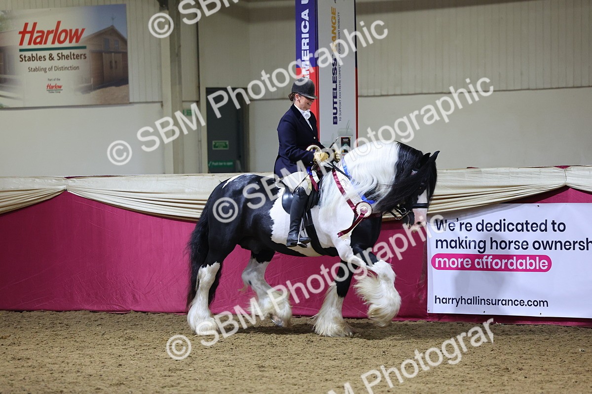 SBM_19250 - Class J Coloured Champ