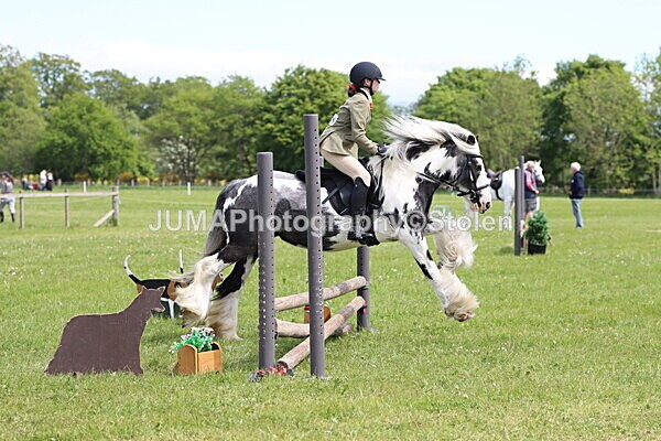 IMG_3153 - Working Hunter