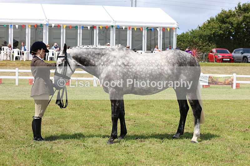 3E7A1671 - Class 9: Open Hunter