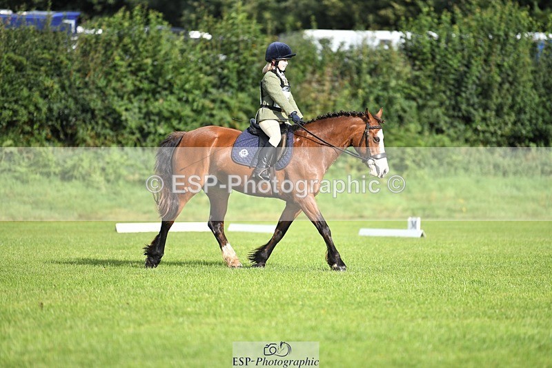 230826-090514-15024 - Sections C & D 9 to 10am