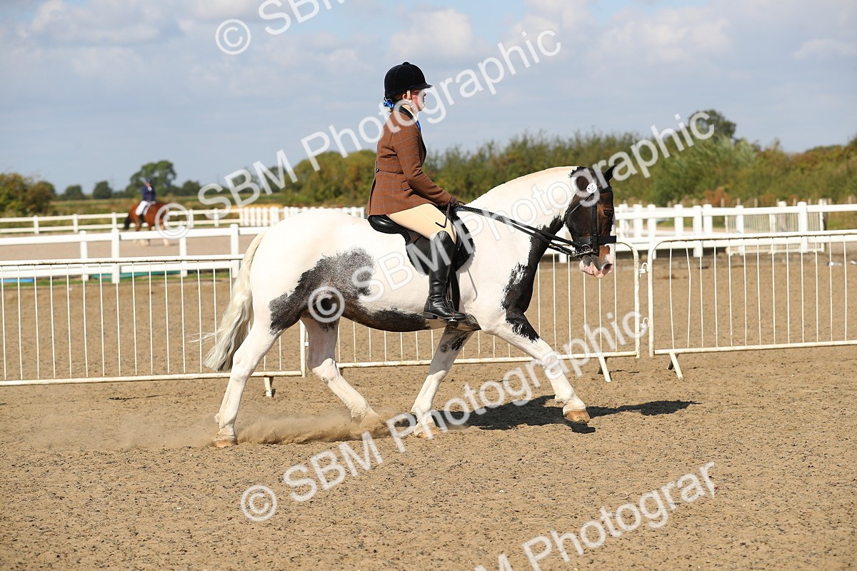SBM_03142 - Class 44 Riding Club Horse/ Pony