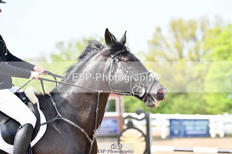 240511A-101933-11498 - Cls 28 95cm National Am Quali