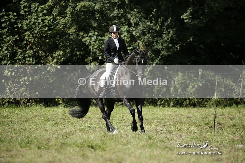 BVRC 120921 376 - Bourne Valley Riding Club UA Dressage & Show Jumping 12/09/21