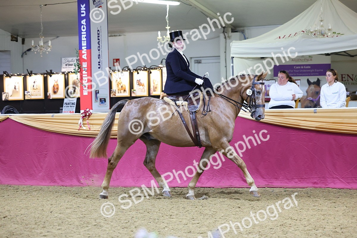 0B8A4244 - Class L Side Saddle Champ